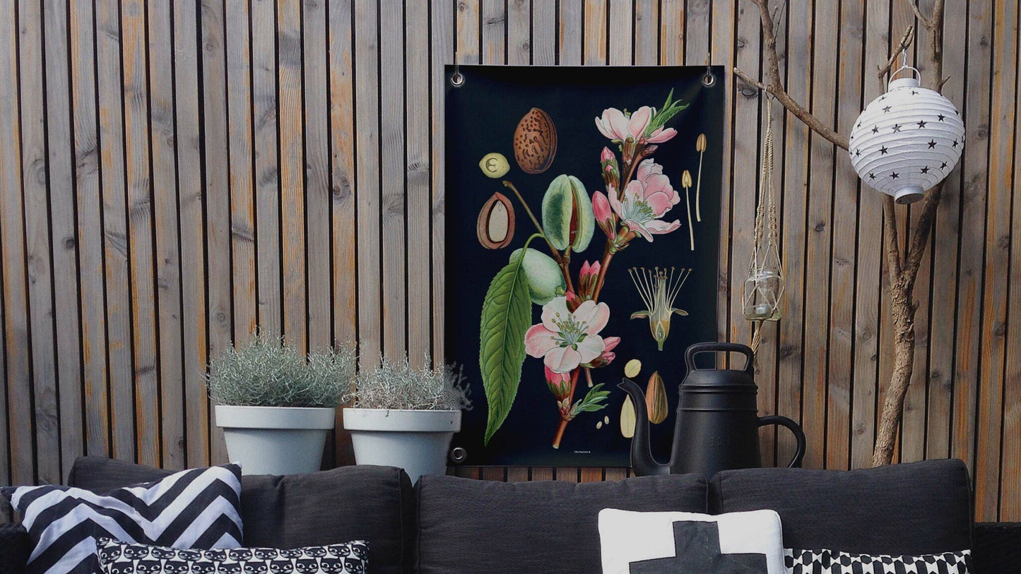VM | Gartenposter botanische Mandel