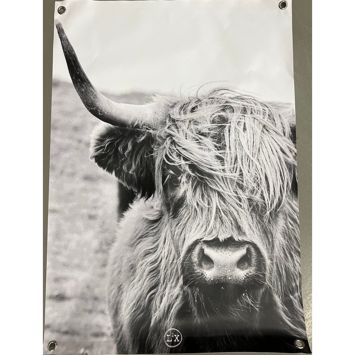 Tuinposter cow