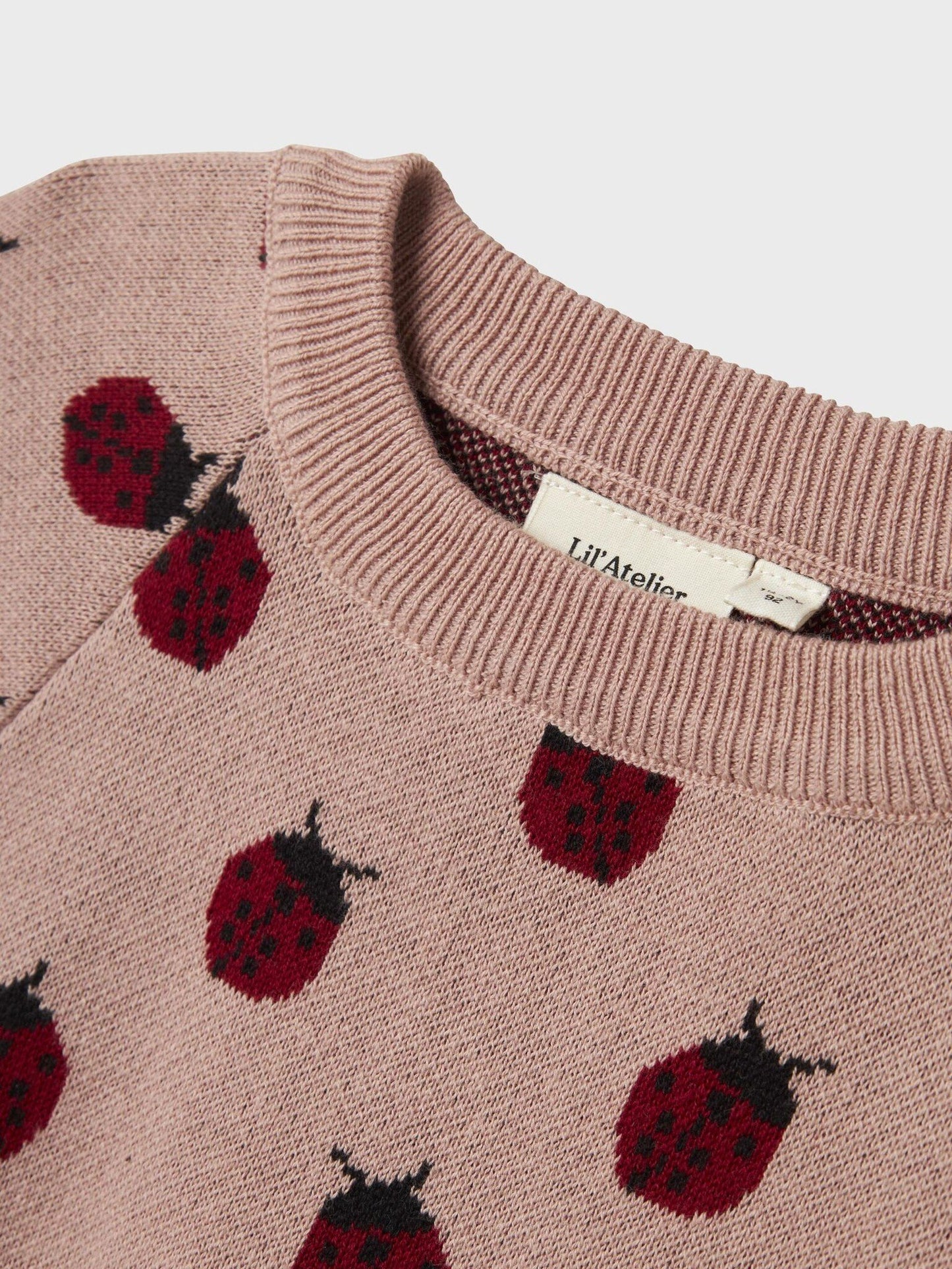 Lil Atelier | Pullover Lulio Marienkäfer