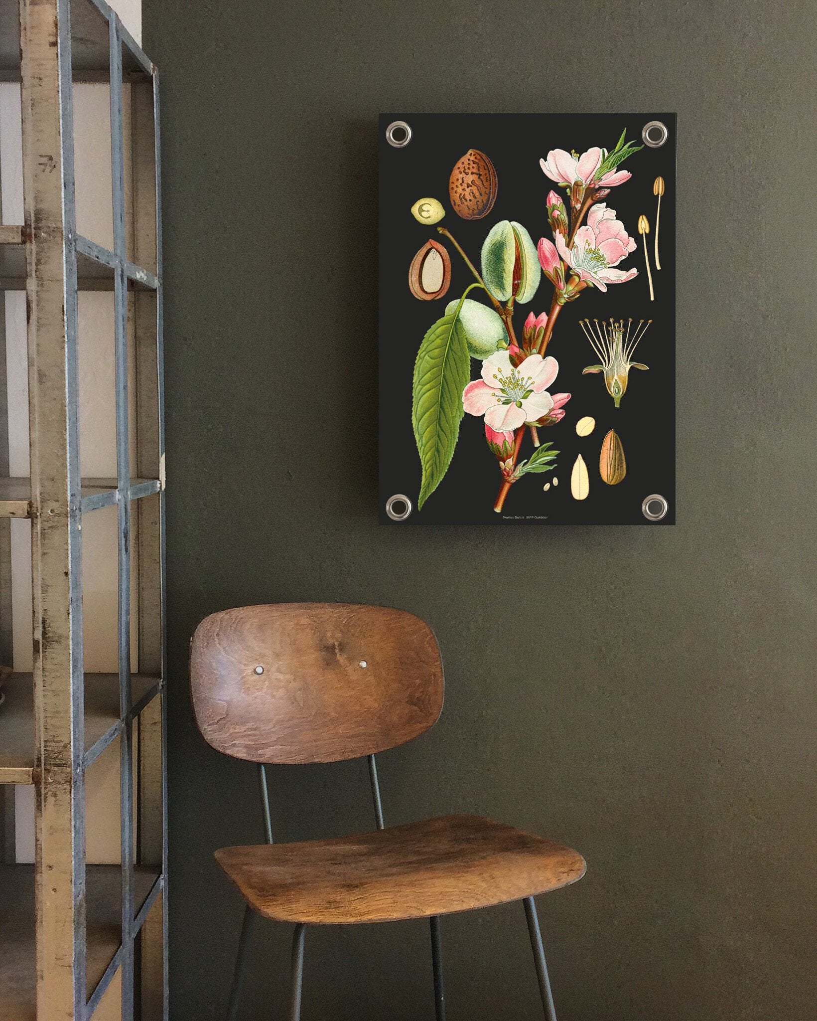 VM | Gartenposter botanische Mandel