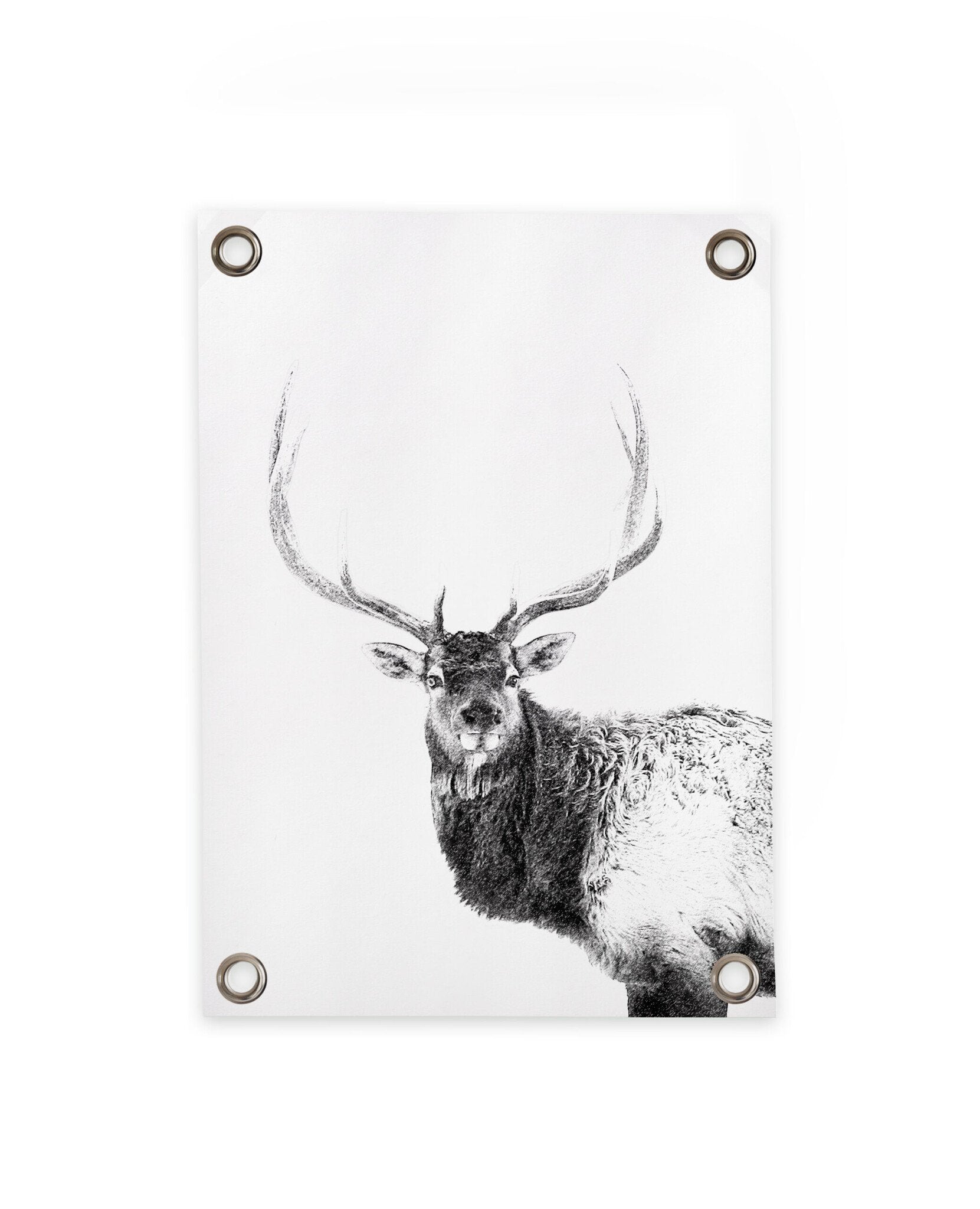 VM | Gartenposter Hirsch schwarz-weiß