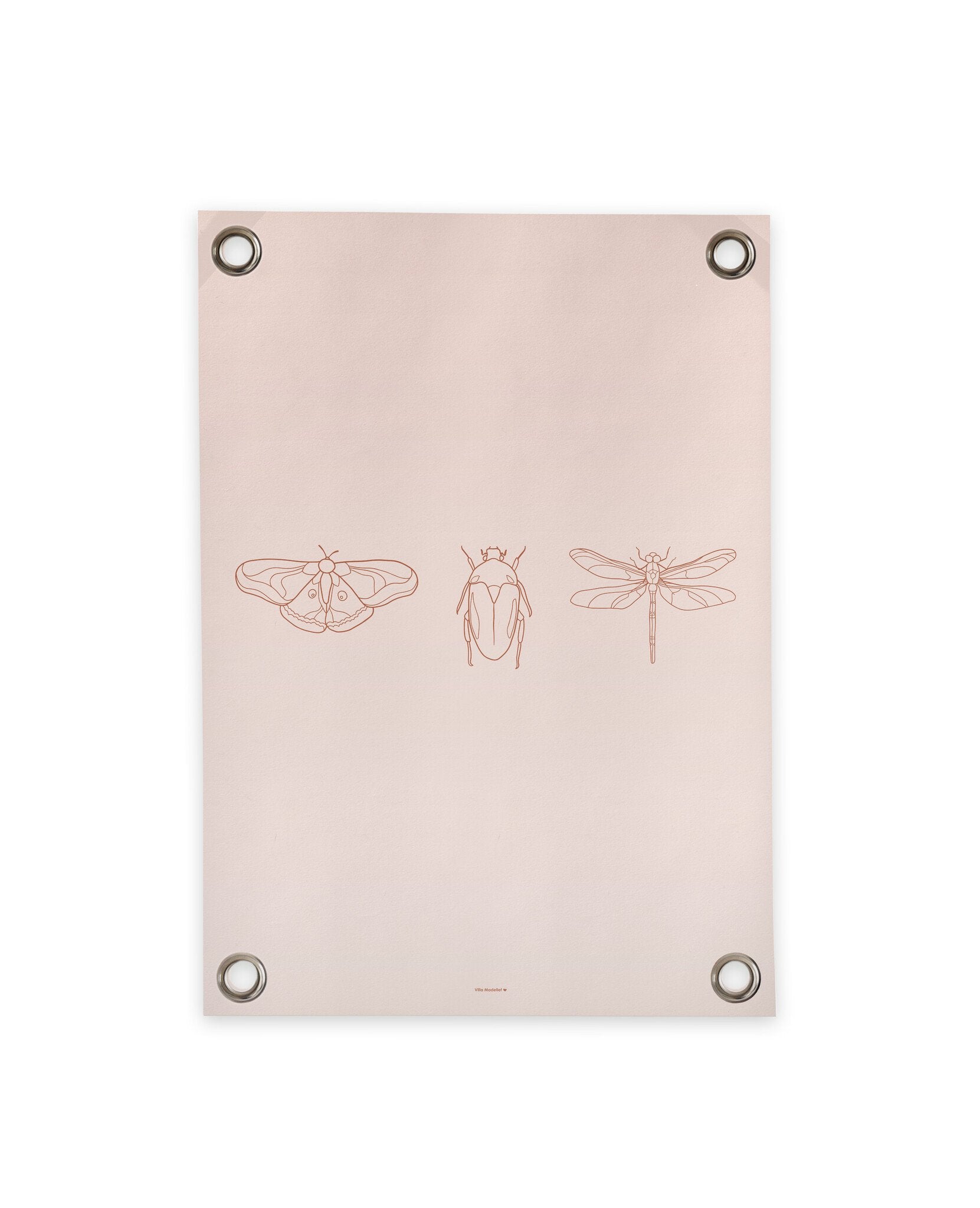 VM | Tuinposter insecten