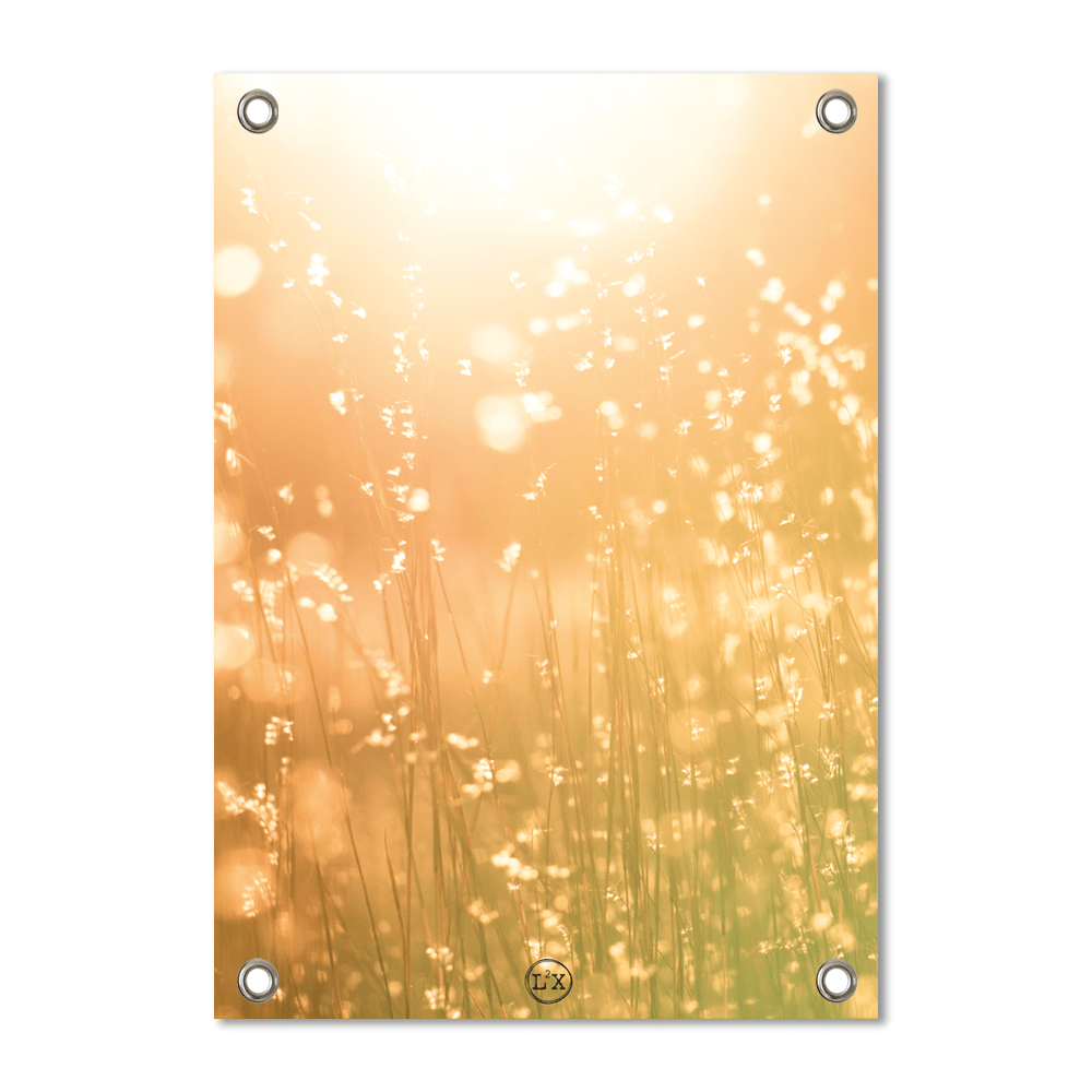 Tuinposter bright sun
