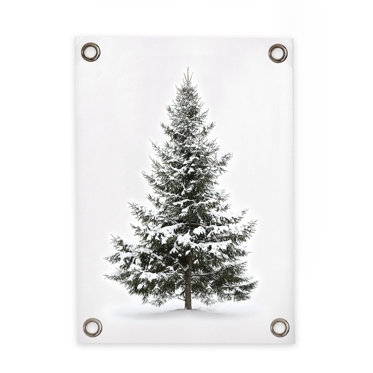 VM | Gartenposter Kiefer