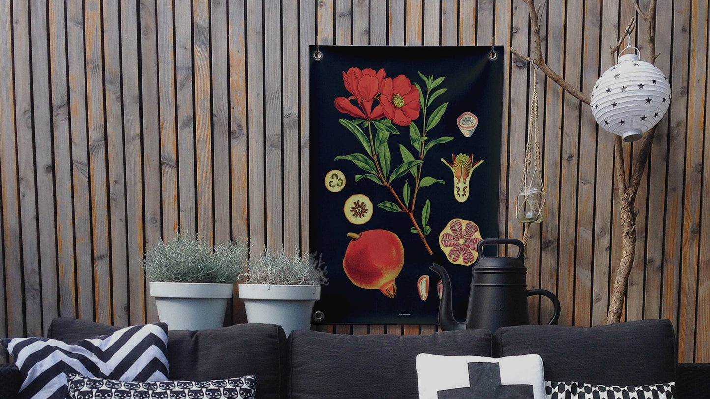 VM | Gartenposter botanischer Granatapfel