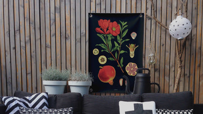 VM | Gartenposter botanischer Granatapfel