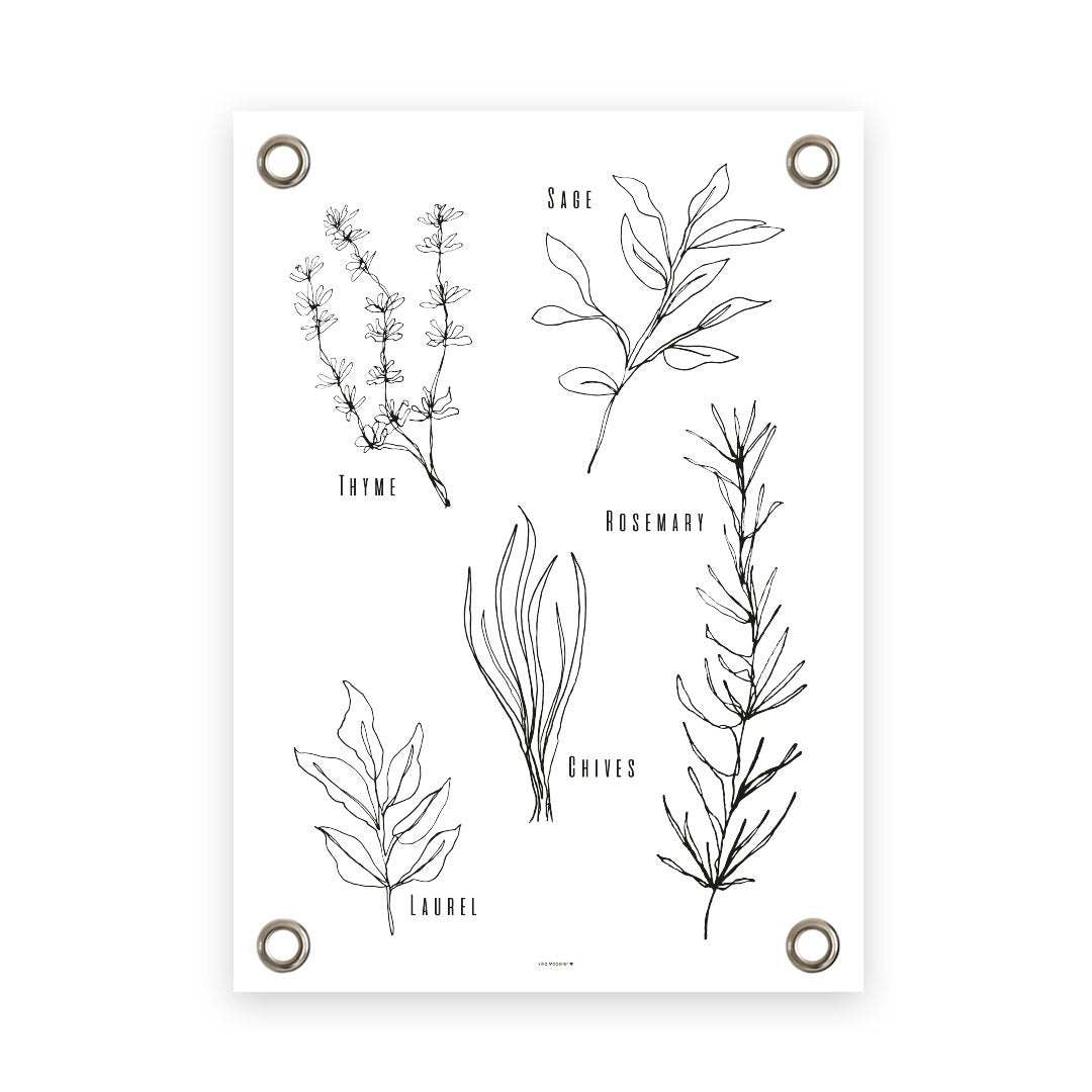 VM | Gartenplakat Kräuter