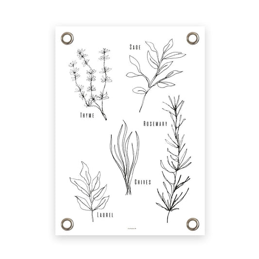 VM | Tuinposter kruiden