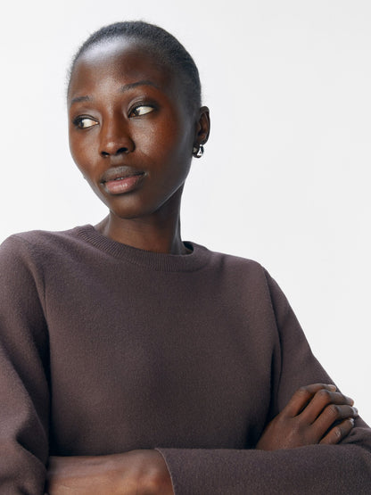 Objekt | Pullover, braune Robbe