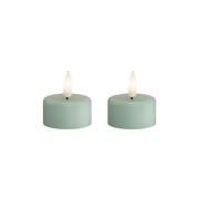 Deluxe Homeart | LED theelicht saliegroen | 2stuks