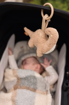 Jollein | Wagenhanger roarsome