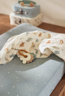 Jollein | Siliconen bijtring sleutelbos lovely birds