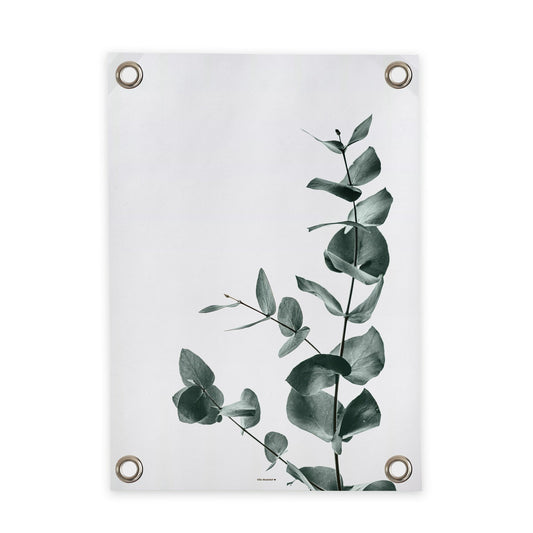 VM | Tuinposter Eucalyptus